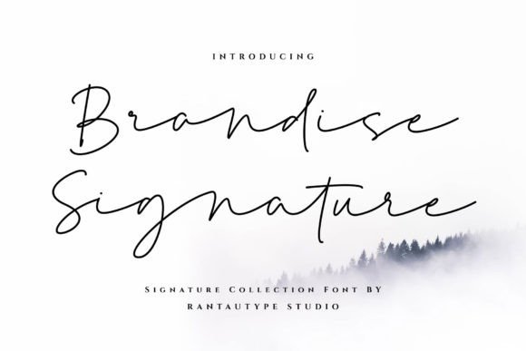 Brandise Signature: A Font Built for Editorial Moments