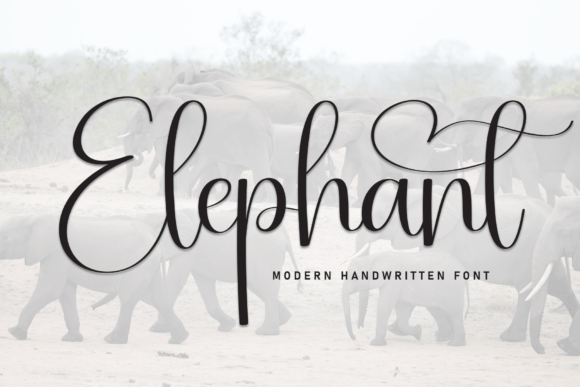 How Elephant Turns a Creative Font into a Brand Signature