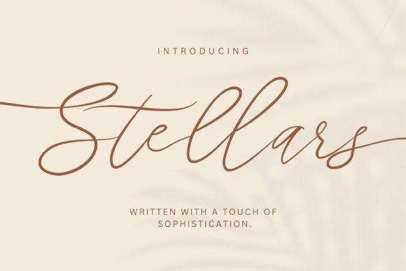 Stellars Font: Elevate Your Marketing with a Premium Script Typeface